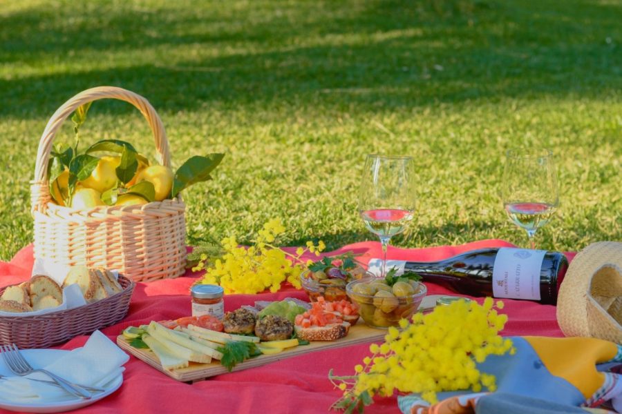 PICNIC SUL PRATO TRA TIPICITA’ E NATURA