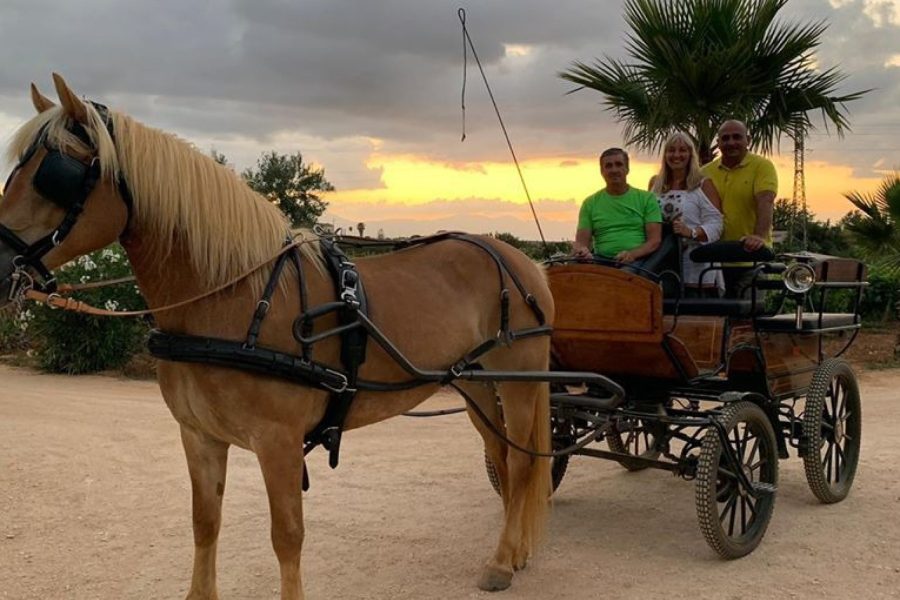 IN CARROZZA PER LA CAMPAGNA SICILIANA CON BRUNCH