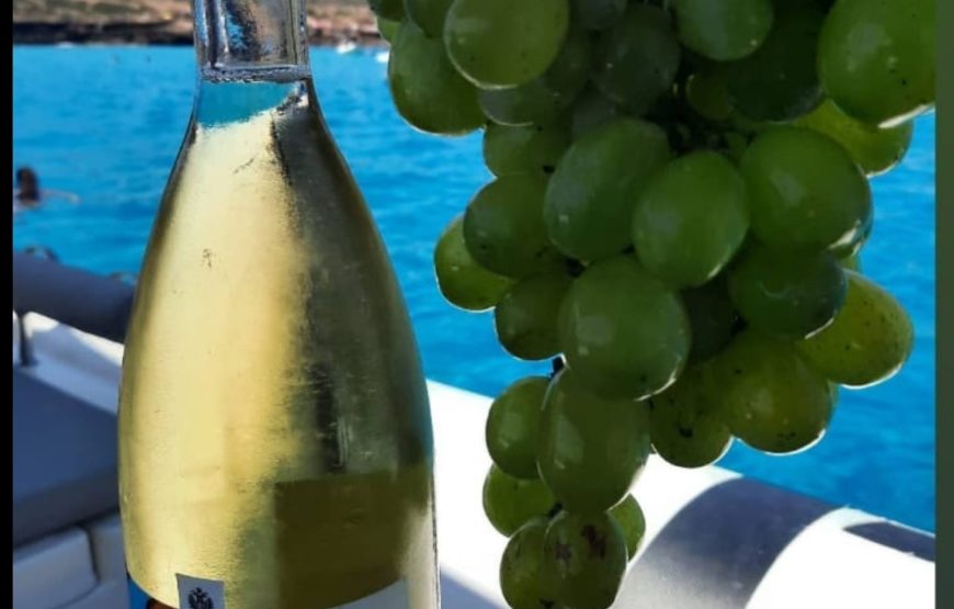 Riserva dello Zingaro, faraglioni di Scopello e Castellammare del Golfo