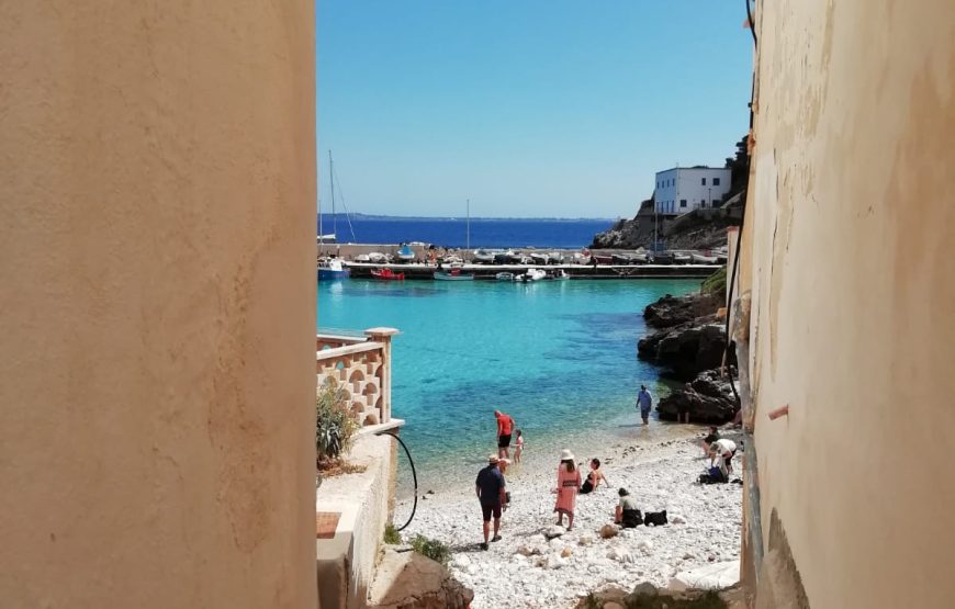 Egadi Shuttle Tour from Trapani