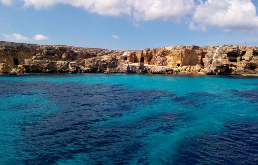 Coves tour Favignana with departing from Favignana