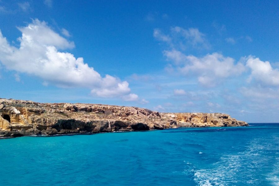 Coves tour Favignana with departing from Favignana
