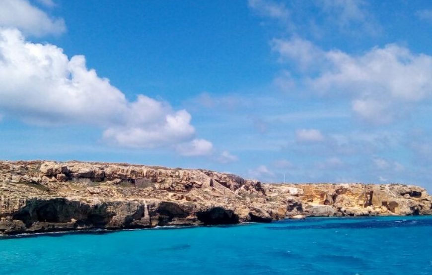 Boat tour from Favignana to Levanzo