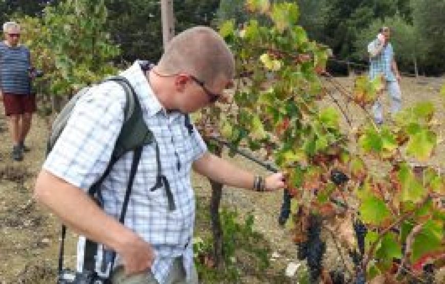 Trekking a cavallo e wine testing