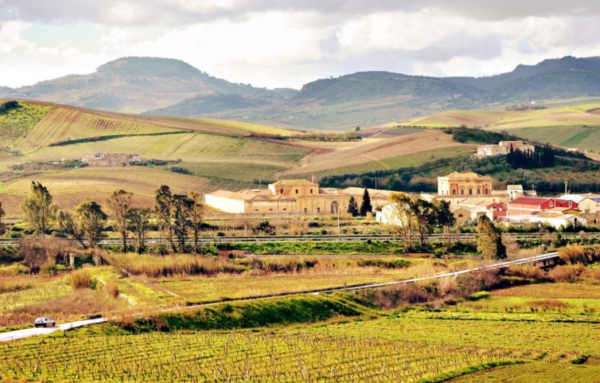 Trekking a cavallo e wine testing