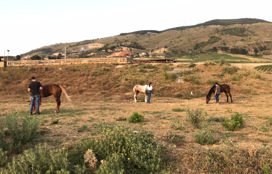Trekking a cavallo e wine testing