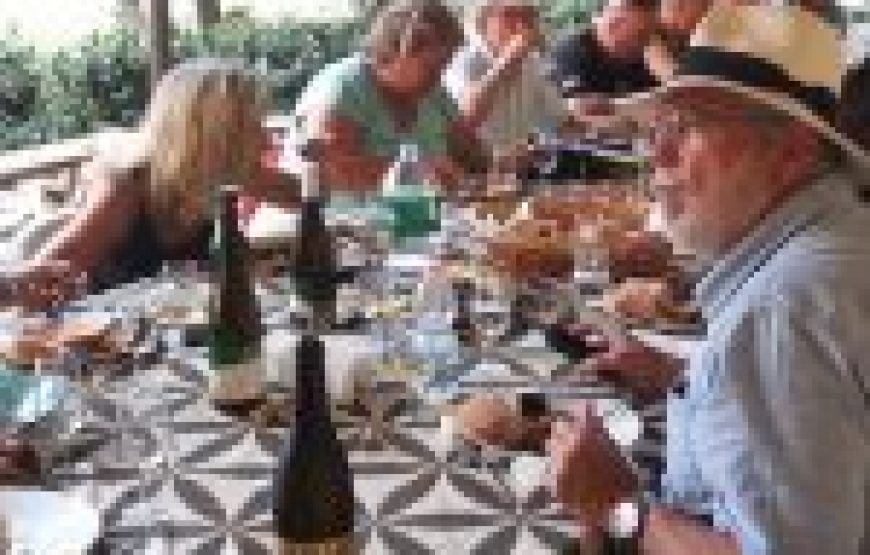 Trekking a cavallo e wine testing