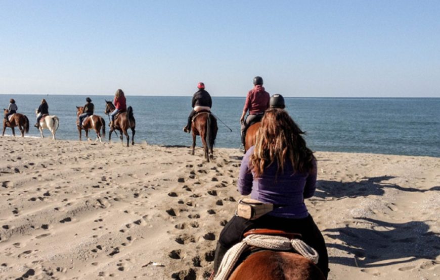 Sunrise on the beach on horseback & breakfast, Alcamo