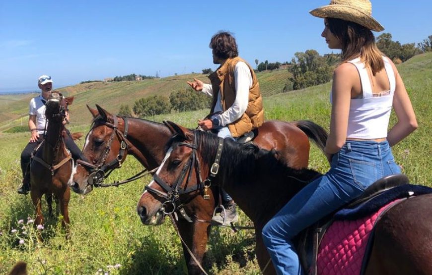 Horseback riding and typical Sicilian pastry, Alcamo
