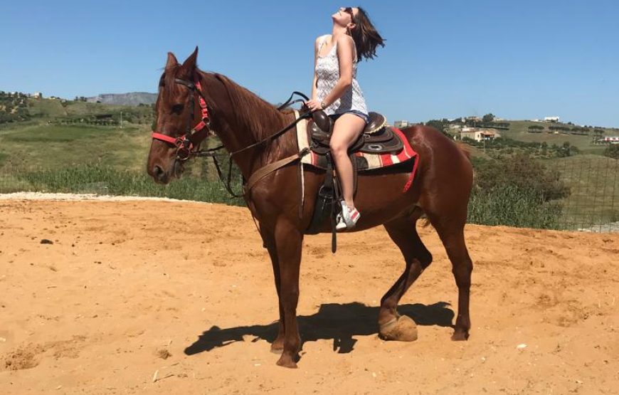 Horseback riding, swimming pool and pizza, Alcamo