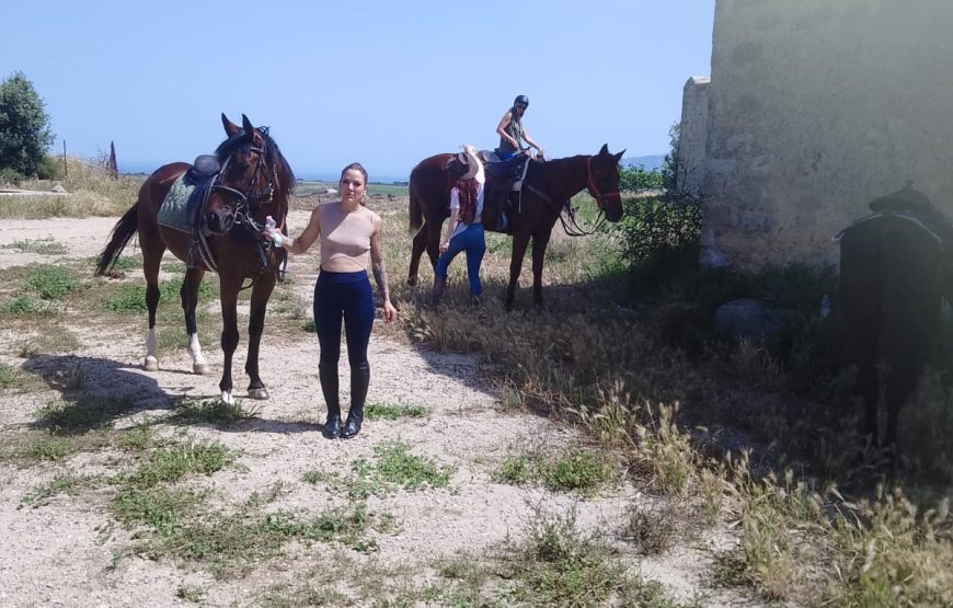 Horseback riding and typical Sicilian pastry, Alcamo