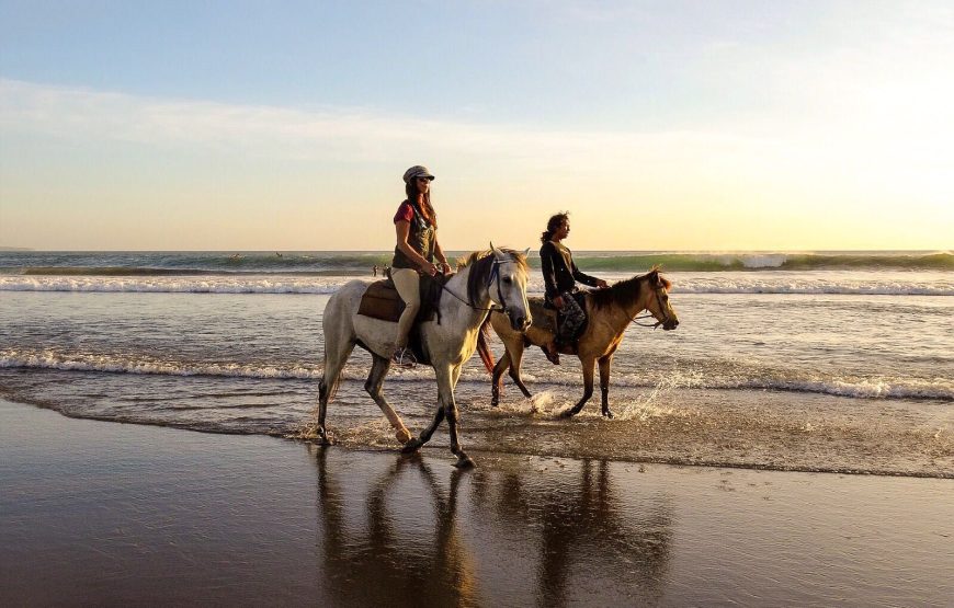 Sunrise on the beach on horseback & breakfast, Alcamo