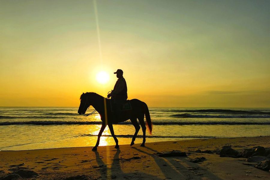 Sunrise on the beach on horseback & breakfast, Alcamo